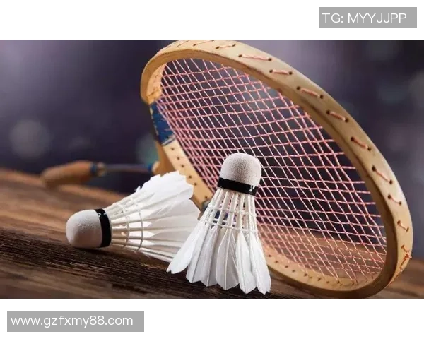 赛后分析：杭州羽毛球队与重庆羽毛球队的战术对决与启示